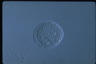 Paramecium caudatum, macronuclear inclusion body